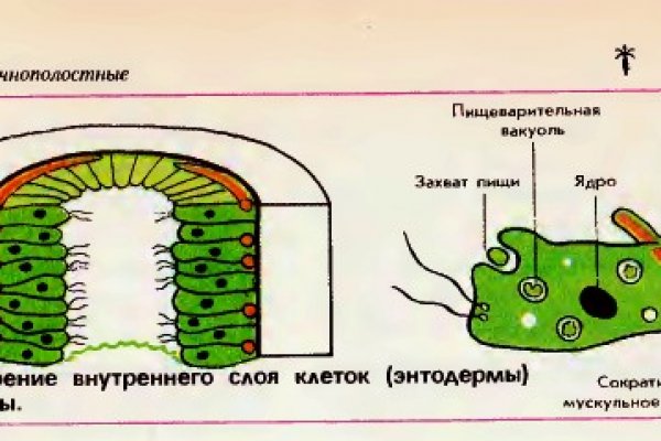 Кракен как зарегистрироваться