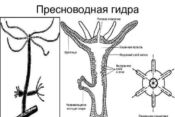 Впн для кракена